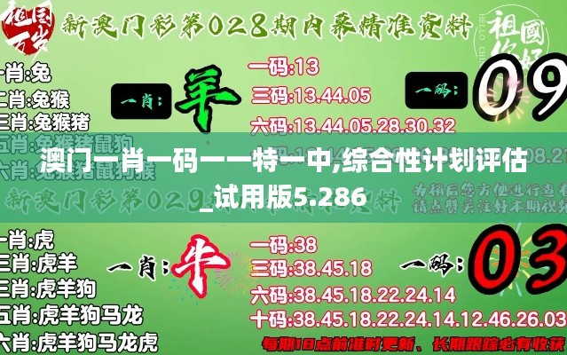 澳門一肖一碼一一特一中,綜合性計劃評估_試用版5.286