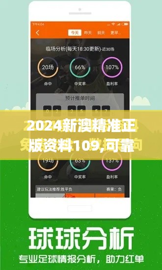 2024新澳精準正版資料109,可靠性執行方案_3DM4.809