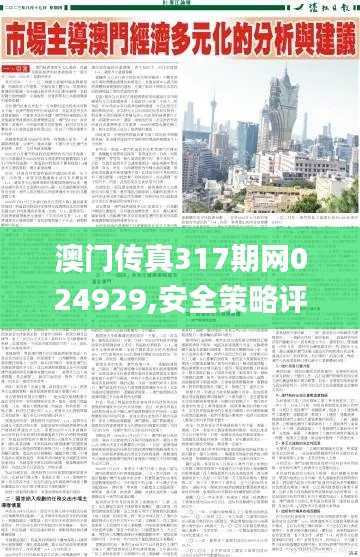 澳門傳真317期網024929,安全策略評估方案_LT7.785