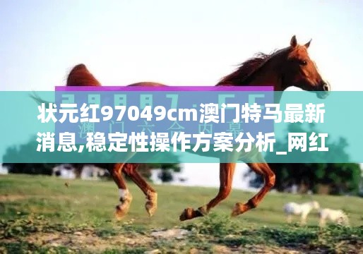 狀元紅97049cm澳門特馬最新消息,穩定性操作方案分析_網紅版1.379