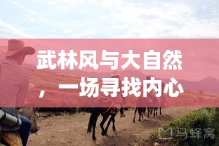 武林風與大自然，綠色冒險之旅探尋內心平靜之道