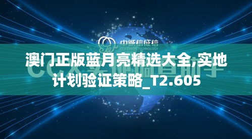 澳門正版藍月亮精選大全,實地計劃驗證策略_T2.605