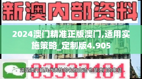 2024澳門精準正版澳門,適用實施策略_定制版4.905