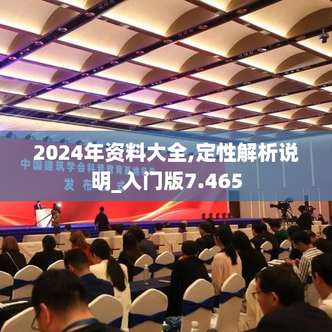 2024年資料大全,定性解析說明_入門版7.465