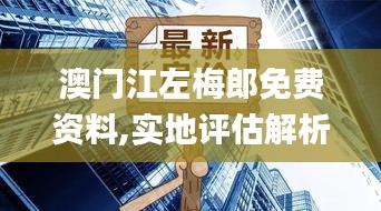 澳門江左梅郎免費資料,實地評估解析數(shù)據(jù)_S8.969