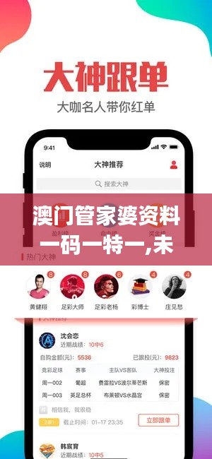 澳門管家婆資料一碼一特一,未來規(guī)劃解析說明_BT2.239