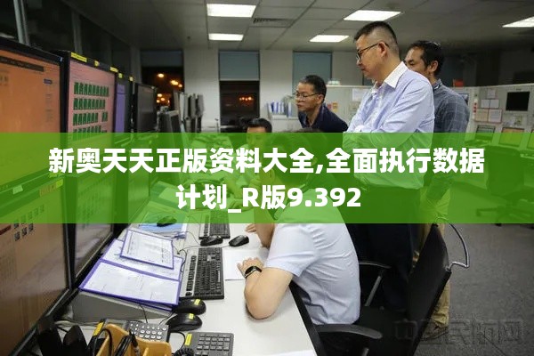 新奧天天正版資料大全,全面執行數據計劃_R版9.392