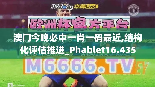 澳門今晚必中一肖一碼最近,結構化評估推進_Phablet16.435