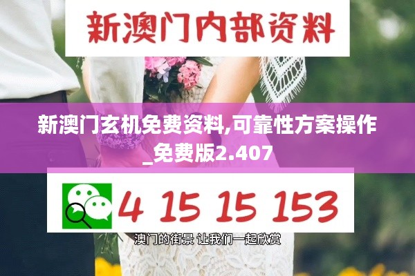 新澳門玄機免費資料,可靠性方案操作_免費版2.407