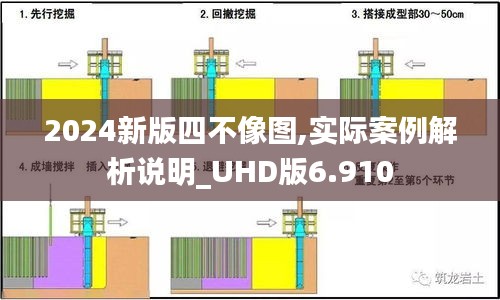 2024新版四不像圖,實際案例解析說明_UHD版6.910