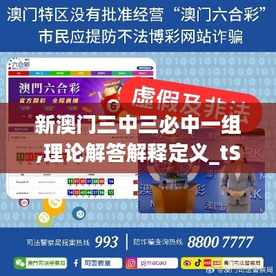 新澳門三中三必中一組,理論解答解釋定義_tShop9.160