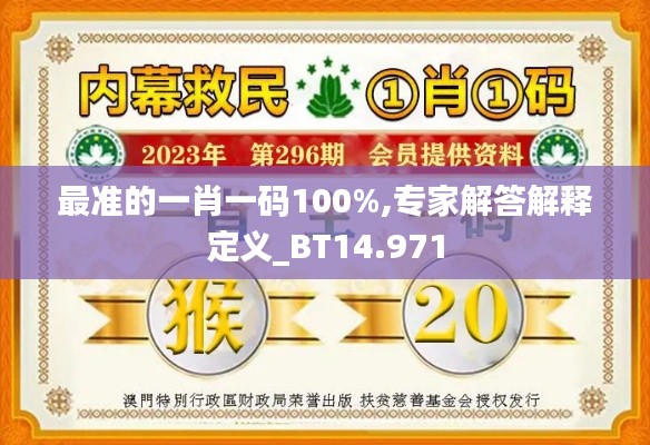 最準的一肖一碼100%,專家解答解釋定義_BT14.971
