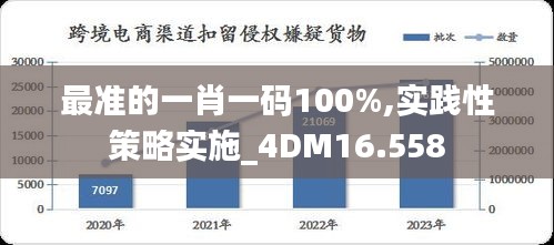 最準的一肖一碼100%,實踐性策略實施_4DM16.558