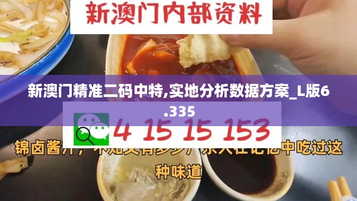 新澳門精準二碼中特,實地分析數據方案_L版6.335
