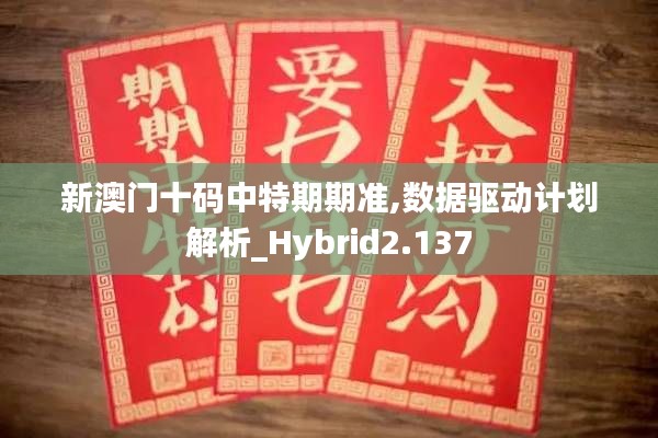 新澳門十碼中特期期準(zhǔn),數(shù)據(jù)驅(qū)動(dòng)計(jì)劃解析_Hybrid2.137