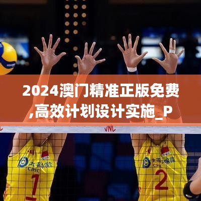 2024澳門精準正版免費,高效計劃設(shè)計實施_Prime2.823