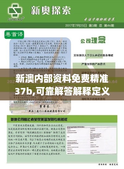 新澳內(nèi)部資料免費精準37b,可靠解答解釋定義_pack15.310