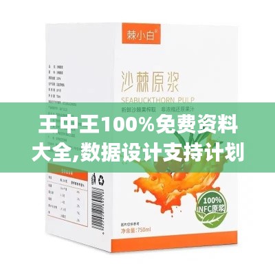 王中王100%免費資料大全,數據設計支持計劃_RX版4.568