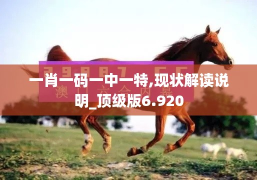 一肖一碼一中一特,現狀解讀說明_頂級版6.920
