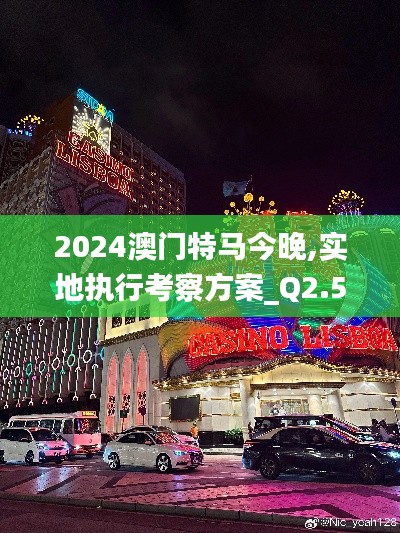 2024澳門特馬今晚,實(shí)地執(zhí)行考察方案_Q2.533