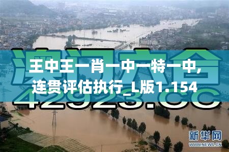 王中王一肖一中一特一中,連貫評估執行_L版1.154