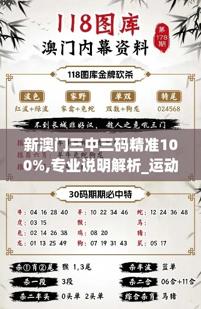新澳門三中三碼精準100%,專業說明解析_運動版6.141
