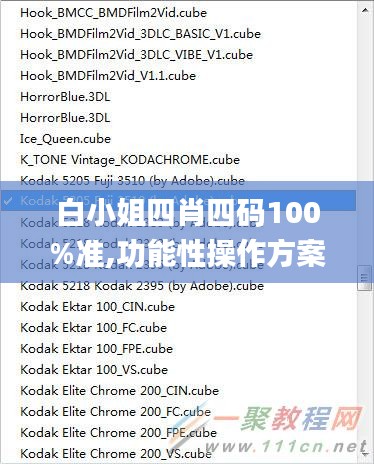 白小姐四肖四碼100%準,功能性操作方案制定_Advance3.820