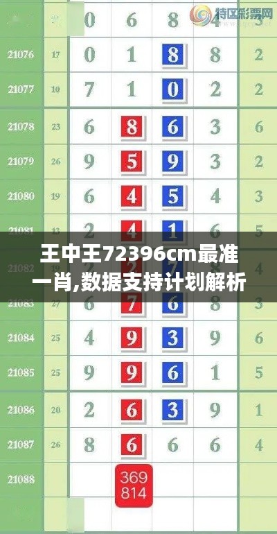 王中王72396cm最準一肖,數(shù)據(jù)支持計劃解析_4K8.762