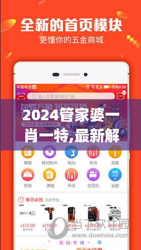 2024管家婆一肖一特,最新解答方案_特別款10.301