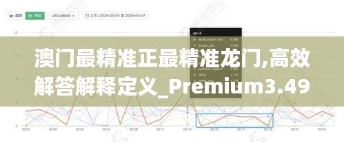 澳門最精準正最精準龍門,高效解答解釋定義_Premium3.499