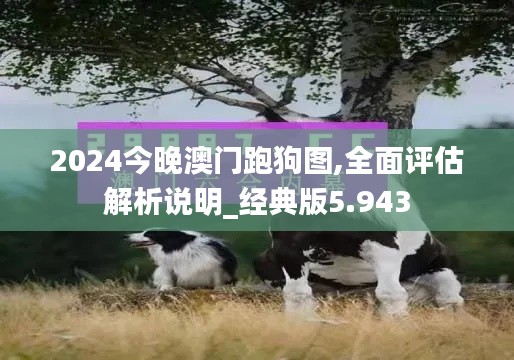 2024今晚澳門跑狗圖,全面評估解析說明_經(jīng)典版5.943