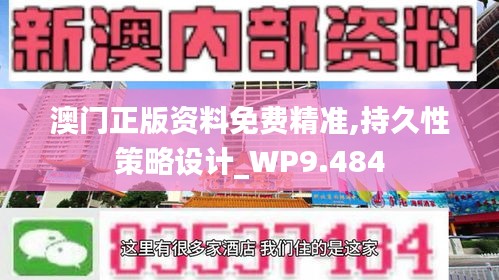 澳門正版資料免費精準,持久性策略設計_WP9.484