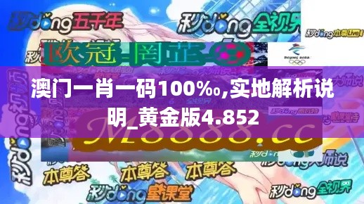 澳門一肖一碼100‰,實地解析說明_黃金版4.852