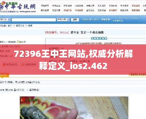 72396王中王網(wǎng)站,權(quán)威分析解釋定義_ios2.462