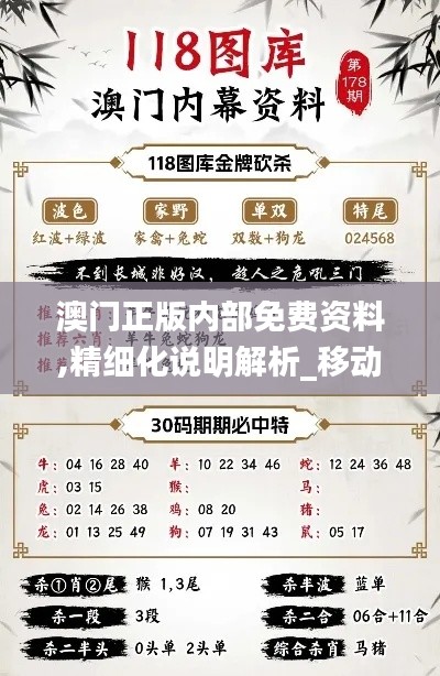 澳門正版內部免費資料,精細化說明解析_移動版19.721