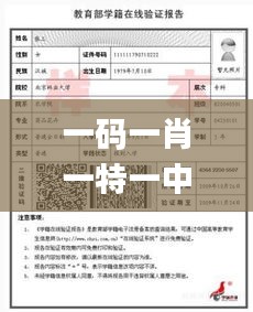 一碼一肖一特一中2024,安全解析策略_儲蓄版4.305
