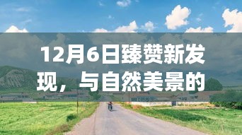 12月6日臻贊新發現，與自然美景的邂逅，踏上升華心靈的寧靜之旅