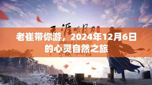青天白日 第2頁