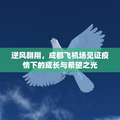 疫情見證下的成長與希望之光，逆風翱翔于成都飛機場