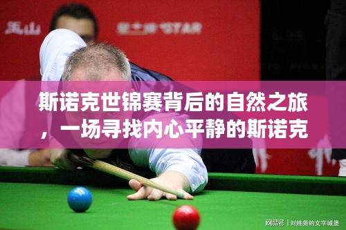 斯諾克世錦賽的自然之旅，尋找內心平靜的斯諾克美景探險之旅