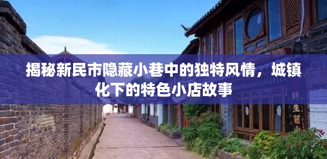 新民市隱藏小巷的獨特風情與城鎮化中的特色小店故事探索
