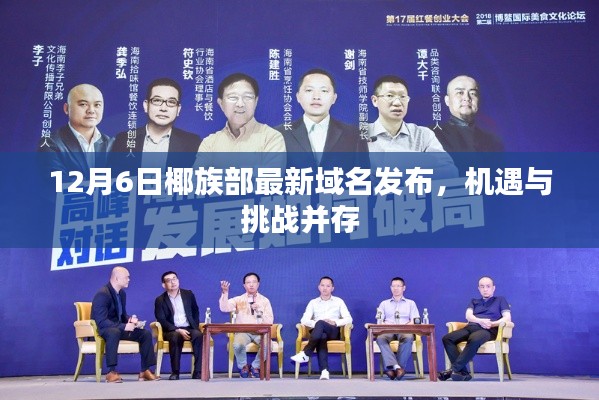 椰族部最新域名發布，機遇與挑戰并存的時代開啟