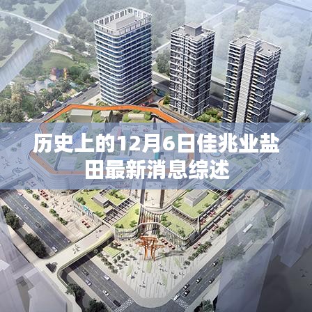 歷史上的12月6日佳兆業鹽田最新消息綜述，深度解析與綜述