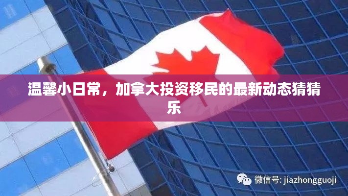 加拿大投資移民最新動態揭秘，溫馨日常猜猜樂