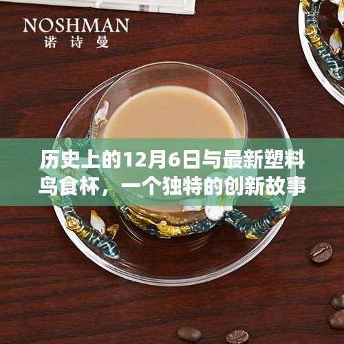 塑料鳥食杯的誕生，跨越時空的創新故事