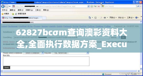 62827bcσm查詢澳彩資料大全,全面執行數據方案_Executive3.907