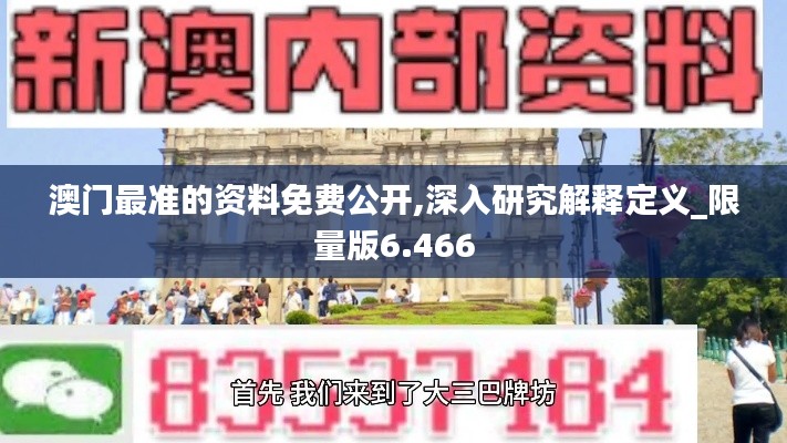 澳門最準的資料免費公開,深入研究解釋定義_限量版6.466
