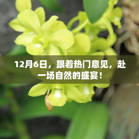 12月6日，跟著熱門意見，赴一場自然的盛宴！