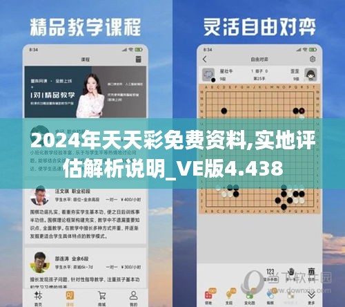 2024年天天彩免費資料,實地評估解析說明_VE版4.438