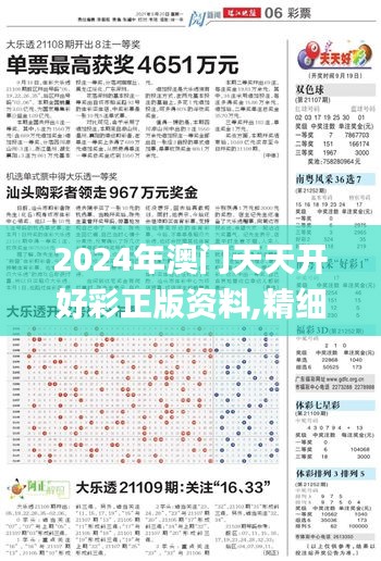 2024年澳門天天開好彩正版資料,精細化策略定義探討_DP6.282